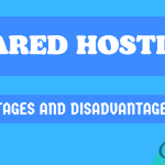 What is Shared Hosting Advantages and Disadvantages Explained